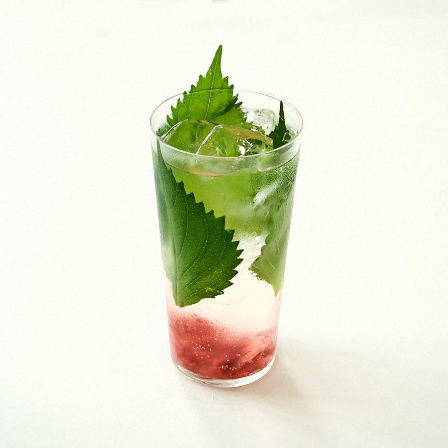 梅紫蘇モヒート