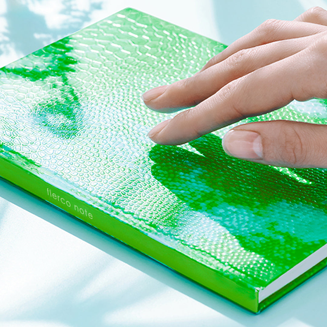 フィジーイグアナの表紙に触れようとする手の写真