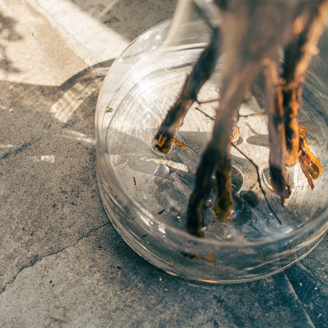 Fagot ｜ 均整で安定感のある枝もの花器