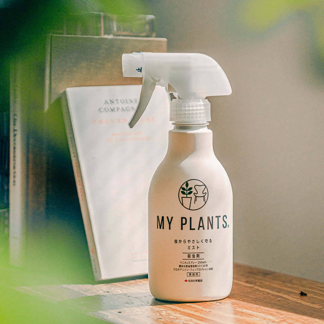 シンプルなデザインのボトルの「MY PLANTS 虫からやさしく守るミスト」が、窓際に本と並べておかれている様子。