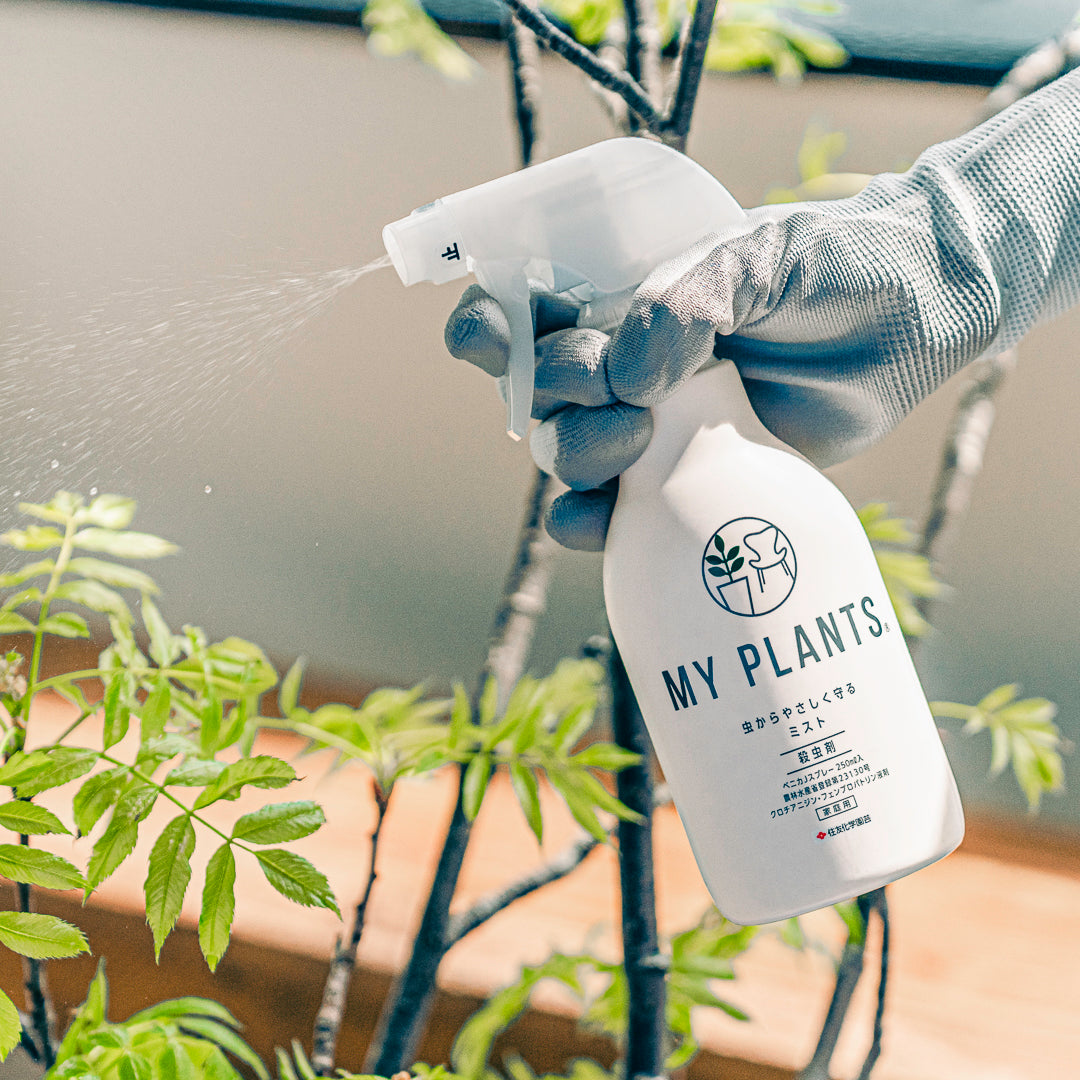 「MY PLANTS 虫からやさしく守るミスト」を枝に吹きかけている様子。